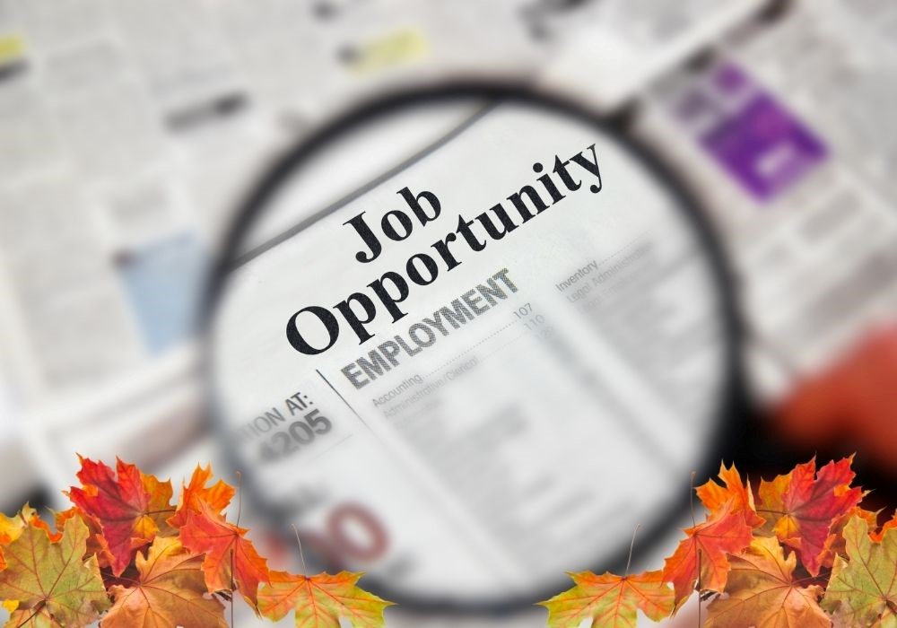 Urban Unit Punjab Opens 2017 Enumerator Jobs Across Divisions