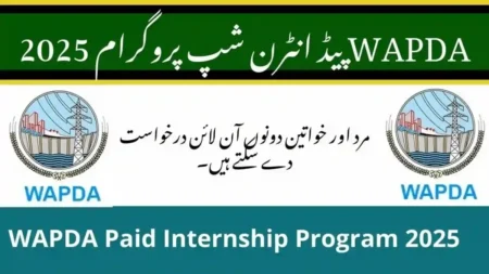 Paid Internship Program