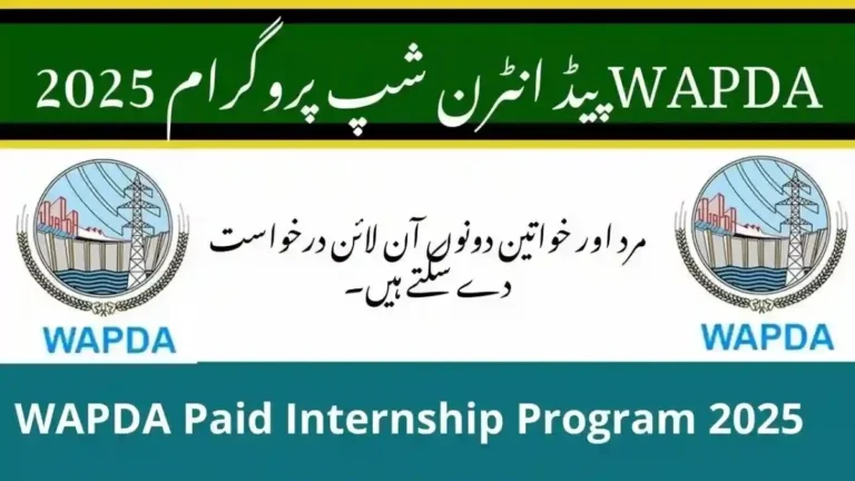 Paid Internship Program