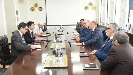 Wärtsilä, Finnish, Reko Diq, oil and gas, Ahmed Mukhtar