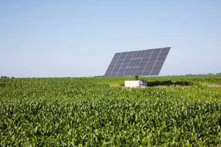 Farmers, solar, subsidy, scheme, Punjab, Ahmed Mukhtar