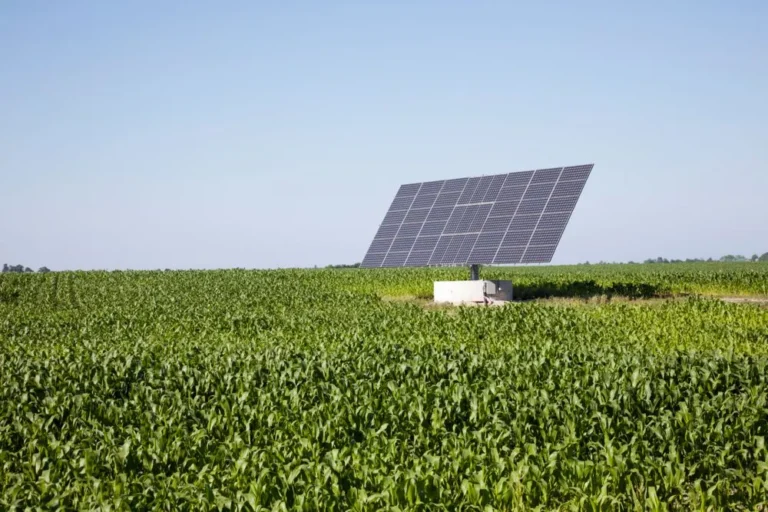 Farmers, solar, subsidy, scheme, Punjab, Ahmed Mukhtar