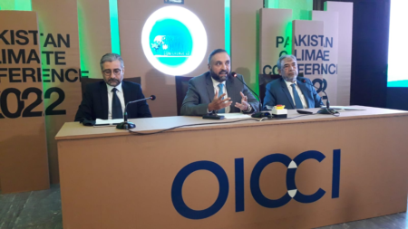 investor, sentiments, SOE, OICCI, Standard & Poor’s, Global Ratings, Ahmed Mukhtar