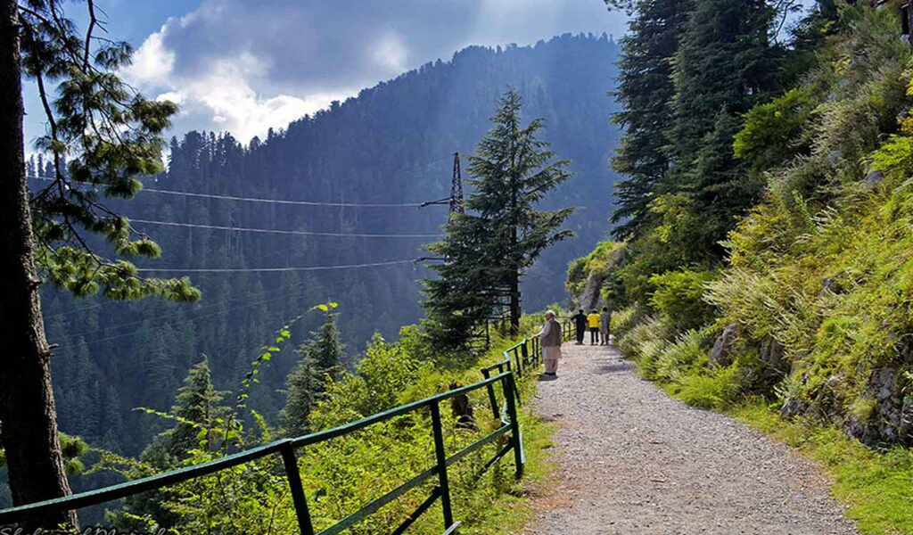 Nathia Gali Distance from Islamabad: Your Complete Travel Guide