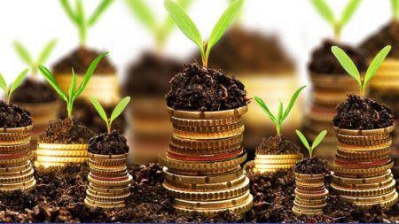 Farmer reviewing agricultural income tax documents in 2025