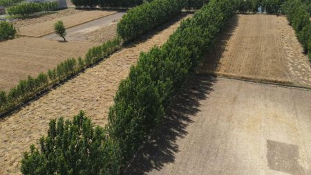 Green agricultural land for sale in Khyber Pakhtunkhwa with mountain background