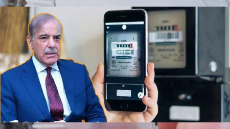 Government launches Power Smart App for electricity meter readings