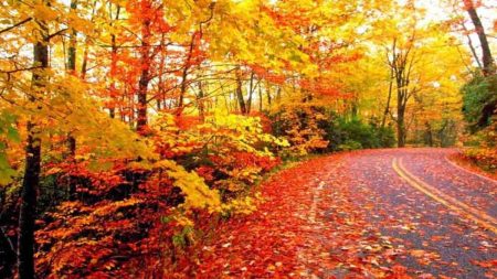 Scenic view of fall foliage and mountains during Autumn in Pakistan 2025
