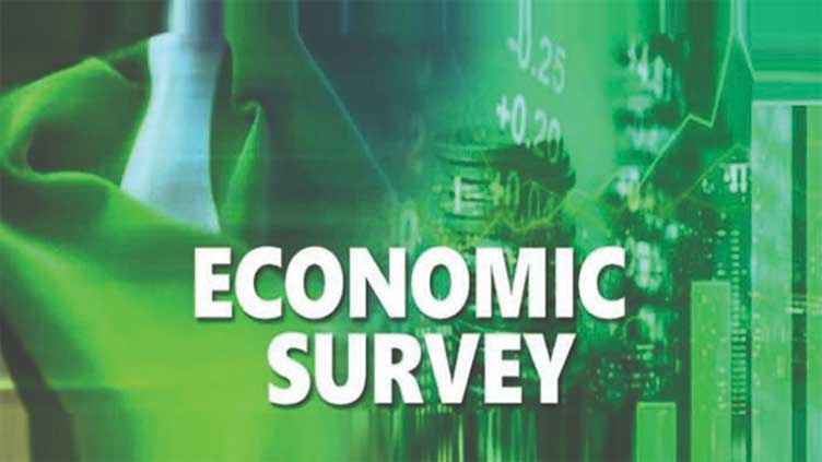 Economic Survey 2025: Industrial Growth Down by 1.5%, Services Sector Leads GDP at 58.4%