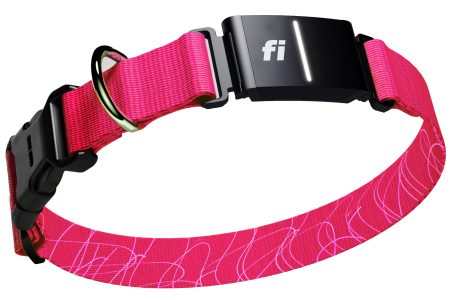 Fi Series 3+ Review: The Ultimate Smart Dog Collar of 2025