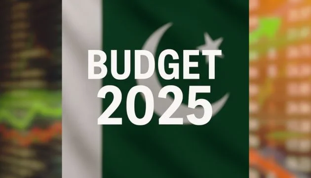 PSDP in New Budget