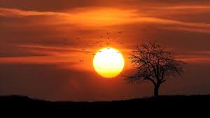 Lahore Sees Hottest Day in 18 Years