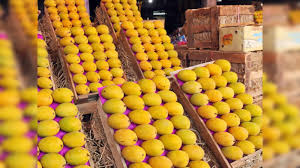 Mango Ban Looms: Iran, EU Raise Fraud Concerns