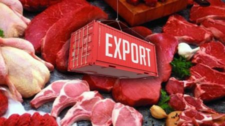 Advanced meat processing facility in Pakistan ensuring quality and Halal standards for international markets.