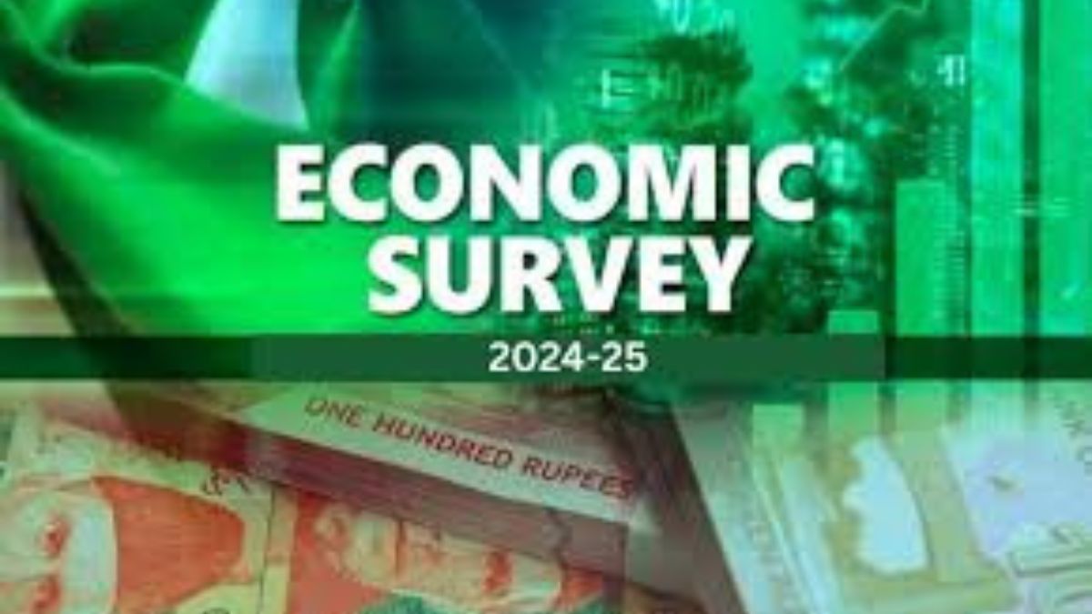Finance Minister presenting Pakistan Economic Survey 2024-25 report