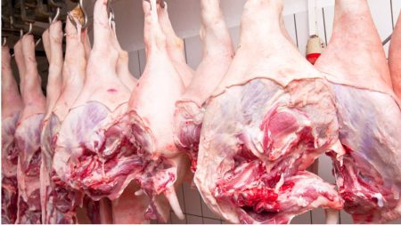 Pakistani exporters tap into China’s growing beef market in 2025