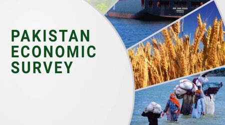 Pakistan Economic Survey