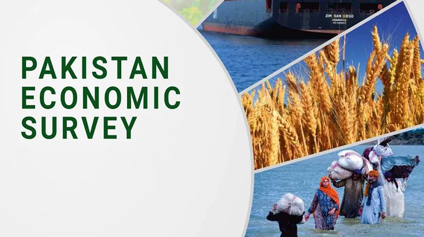Pakistan Economic Survey