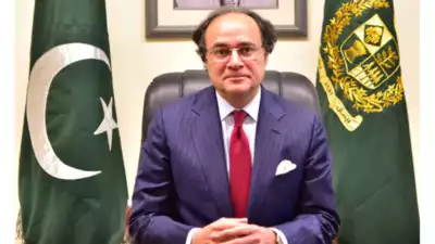 Pakistan's GDP Grows 2.7% Amid 4.6% Inflation – Survey 2024-25