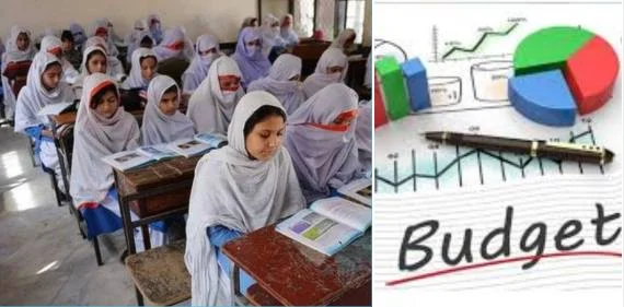 Budget for Govt Schools