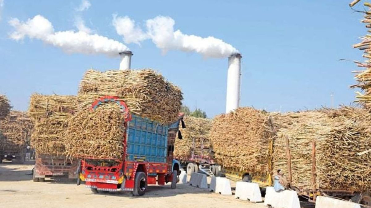 Front view of a modern sugar mill operating in Punjab, Pakistan