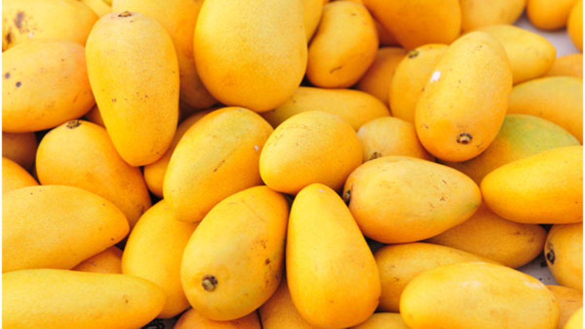 Mango exports by country in 2025 – Thailand, Mexico, India