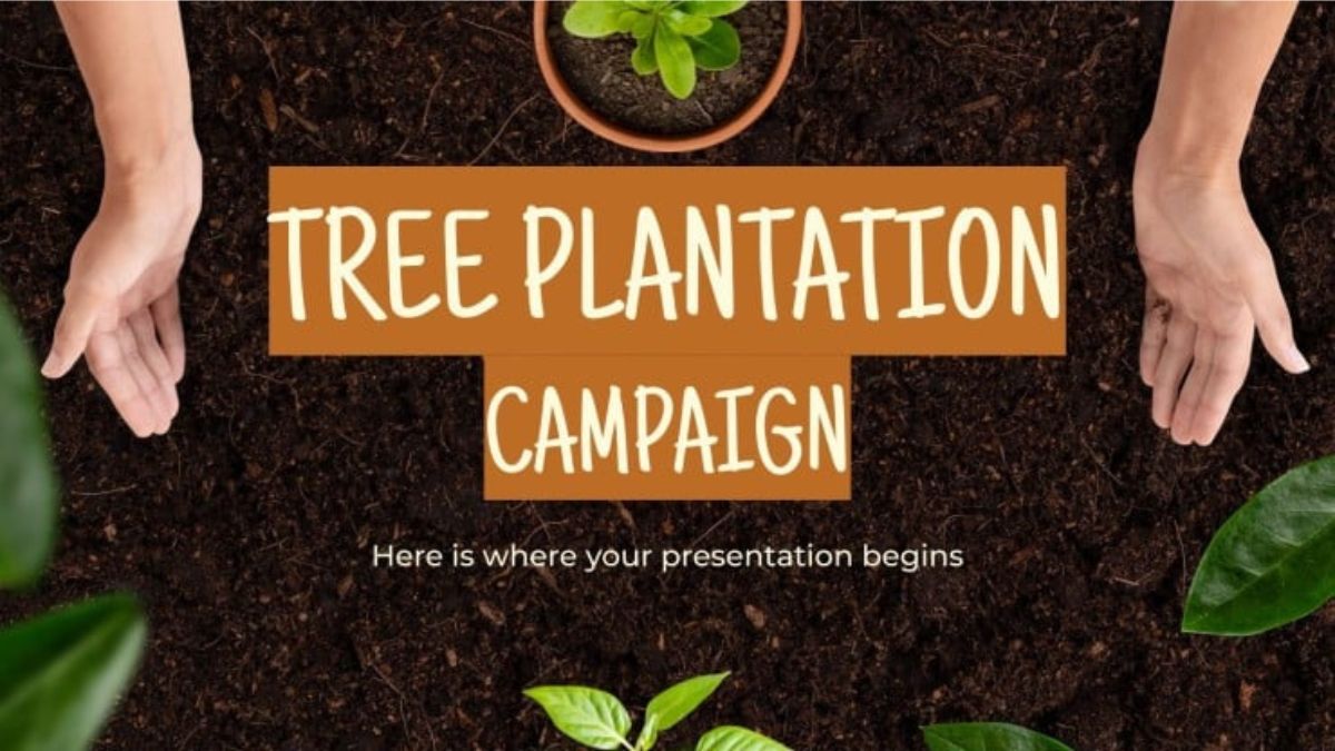 Volunteers planting trees during the 2025 tree plantation campaign in Pakistan