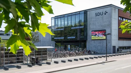 SDU Danish Government Scholarships 2026