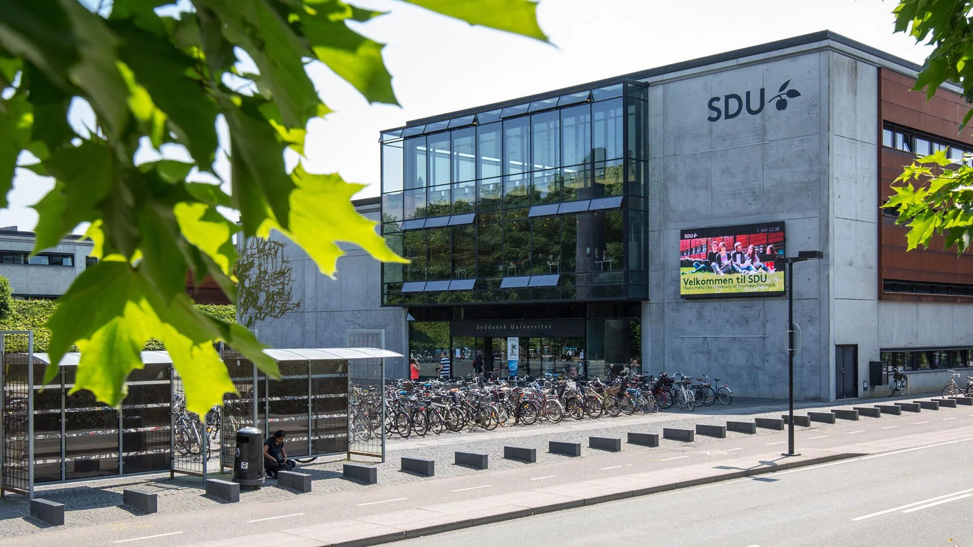 SDU Danish Government Scholarships 2026
