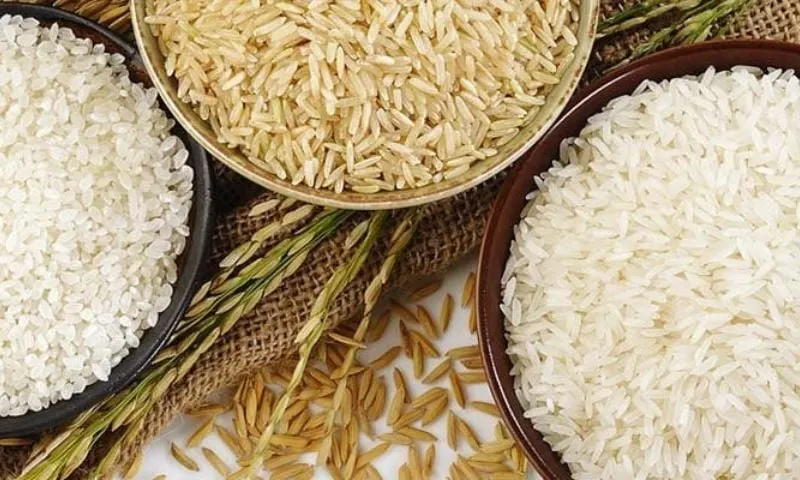 Pakistan’s rice exports