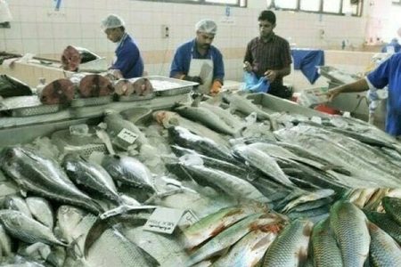 Seafood Exports Hits $465 but Miss $500M Target