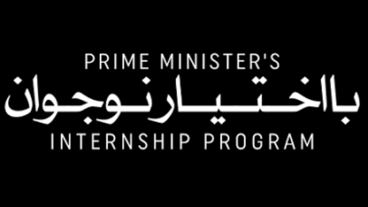 Youth engaged in paid internships through BNIP 2025