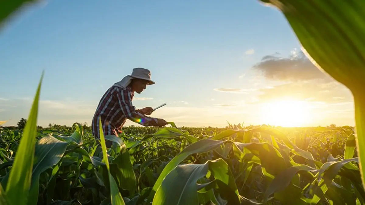 Pakistan Food Safety