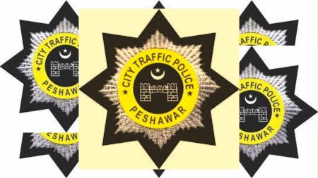 DLIMS KPK driving license online process 2025