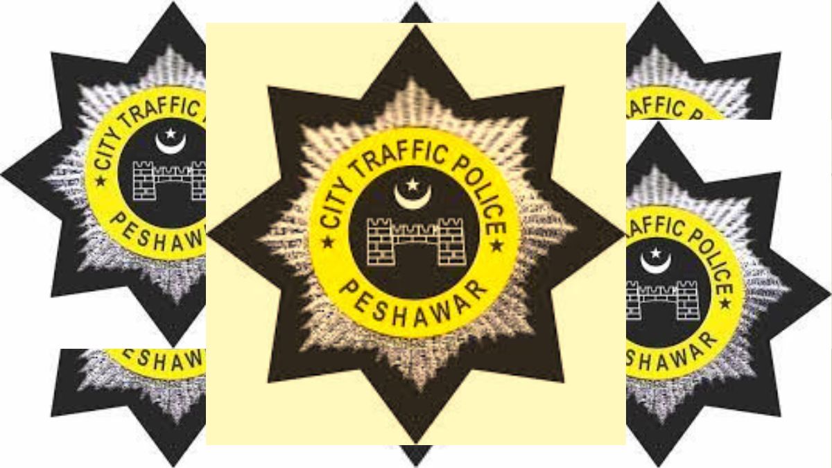 DLIMS KPK driving license online process 2025