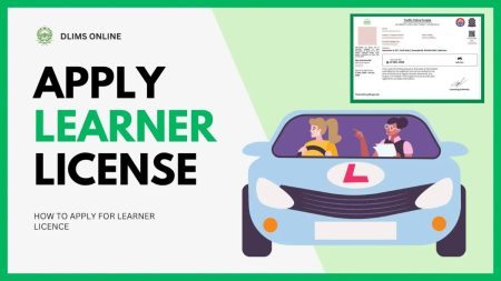 Apply for DLIMS Learner Driving License Online in Pakistan 2025