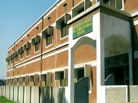 Elementary & Secondary Education Department KPK Jobs 2025