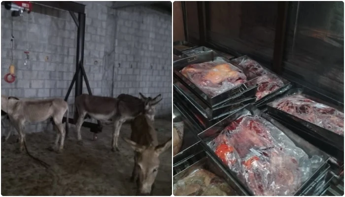 900+ Kg Donkey’s Meat Recovered from Islamabad