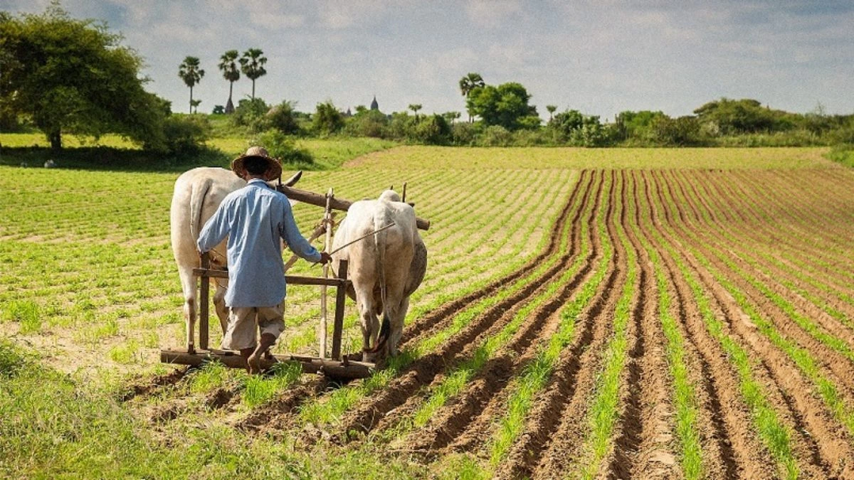 Agri-Financing Plan