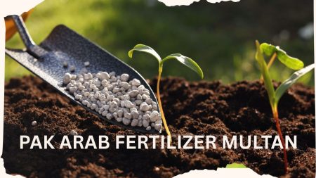 Industrial view of Pak Arab Fertilizer Multan facility in 2025
