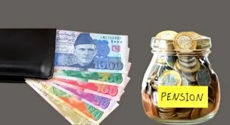 Pensioners Can Now Be Re-Hired by Government