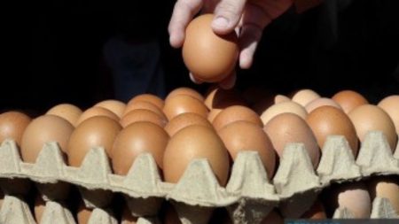 Eggs displayed at a local Punjab market with current July 2025 prices