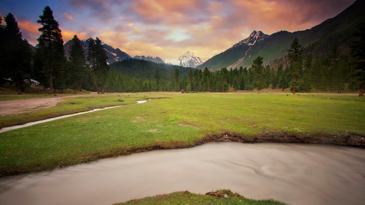 Rama Meadows landscape with pine trees and Nanga Parbat in the background