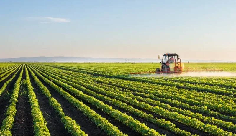 Agriculture Transformation Plan