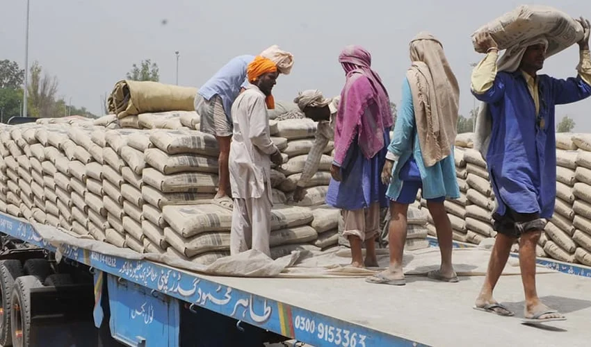 Cement Price in Pakistan Falls: Latest Updated Rates