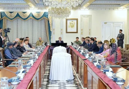 Federal Cabinet Withdraws Flood Relief Donation Plan