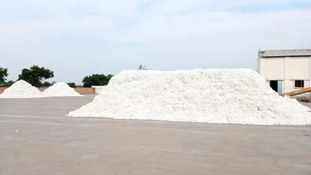 Ginning Factories Crisis: 50% in Punjab Shut Down