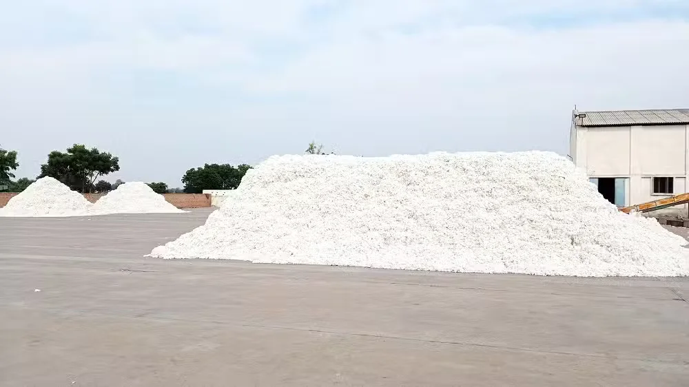 Ginning Factories Crisis: 50% in Punjab Shut Down