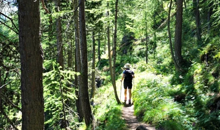 Mansehra Hiking Trail