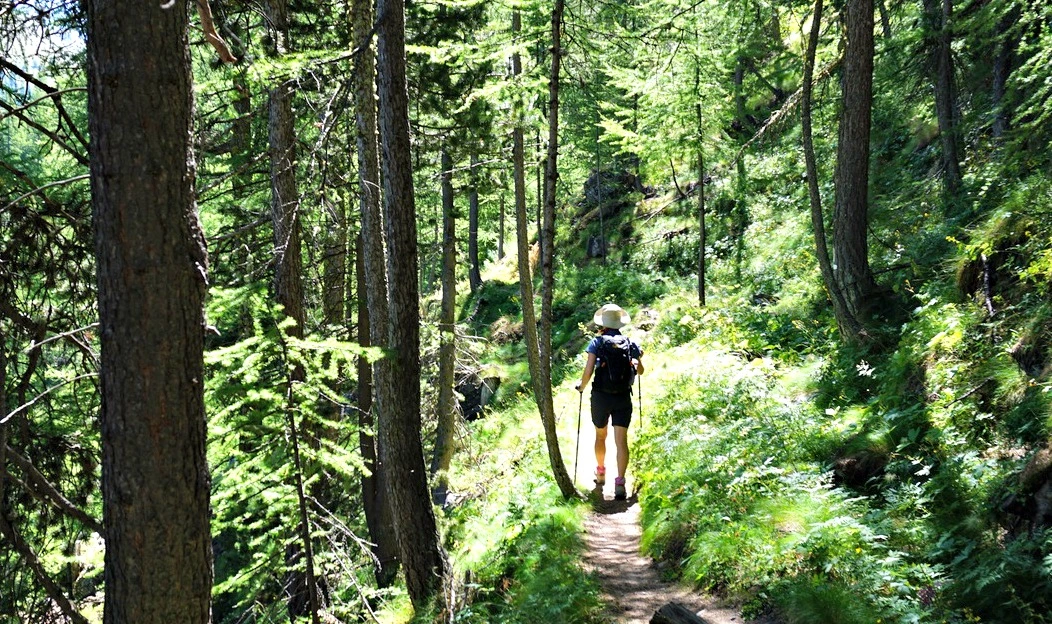 Mansehra Hiking Trail